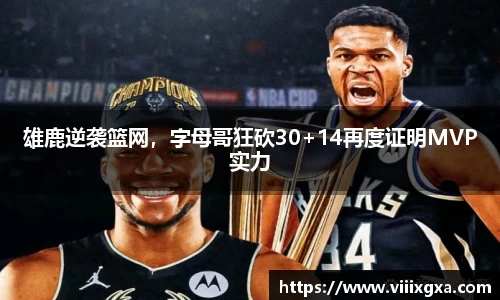 星空·综合体育中国官网