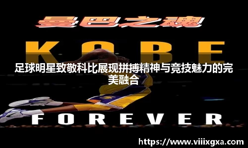 星空·综合体育中国官网