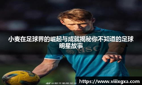 星空·综合体育官方网站