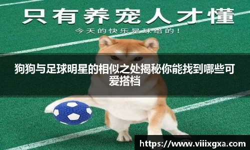 狗狗与足球明星的相似之处揭秘你能找到哪些可爱搭档