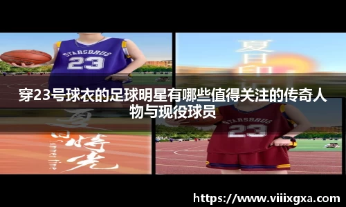 星空·综合体育官方网站